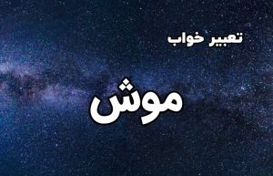 تعبیر خواب موش