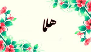 معنی اسم هلما چیست؟ (ریشه، فراوانی و اسامی مشابه هلما)
