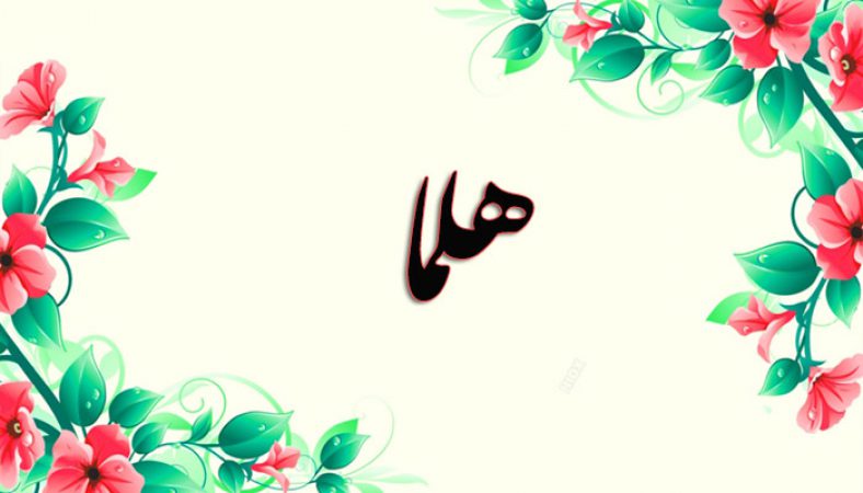معنی اسم هلما چیست؟ (ریشه، فراوانی و اسامی مشابه هلما)