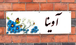 معنی اسم آوینا چیست؟ (ریشه، فراوانی و اسامی مشابه آوینا)