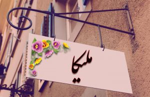 معنی اسم ملیکا چیست؟ (ریشه، فراوانی و اسامی مشابه ملیکا)