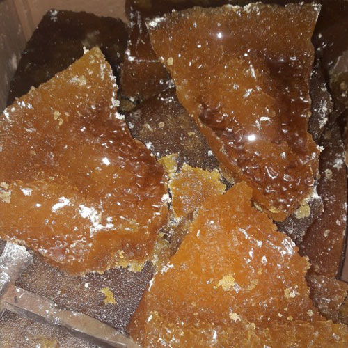 نبات سوخته