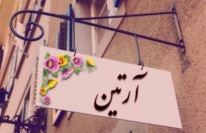 معنی اسم آرتین چیست؟ (ریشه، فراوانی و اسم های مشابه آرتین)
