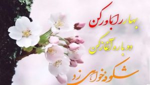 متن و شعر در مورد شکوفه های بهاری