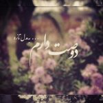اس ام اس دوستت دارم عاشقانه