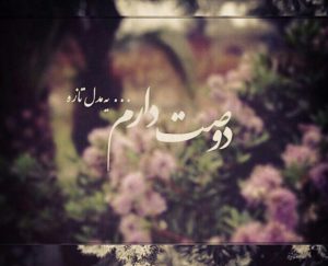 اس ام اس دوستت دارم عاشقانه