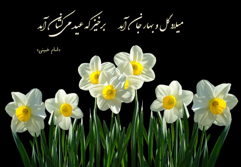 معنی شعر میلاد گل و بهار جان آمد