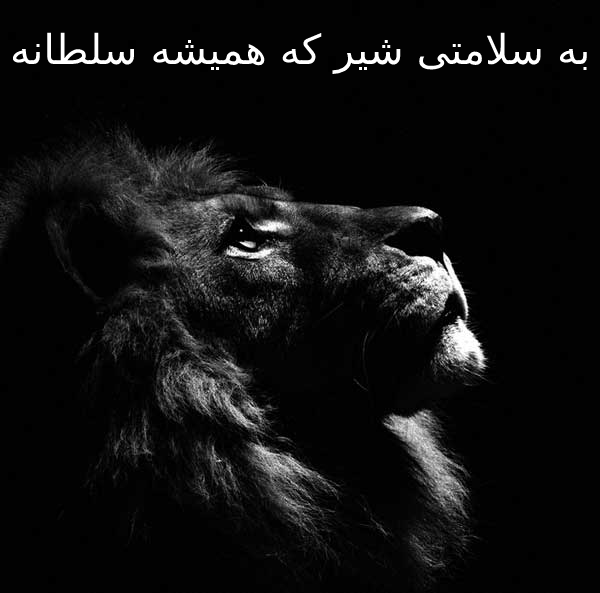 متن و اس ام اس به سلامتی خودم