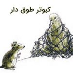 معنی درس کبوتر طوق دار