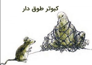 معنی درس کبوتر طوق دار