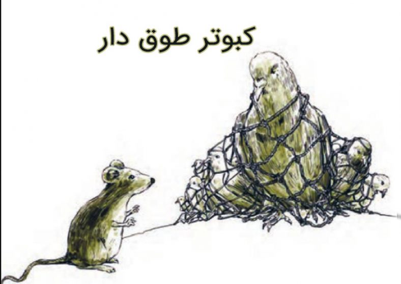معنی درس کبوتر طوق دار