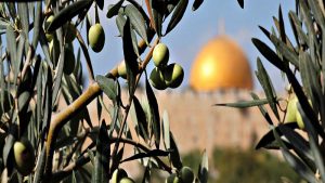 تحقیق درباره نماد سرزمین فلسطین