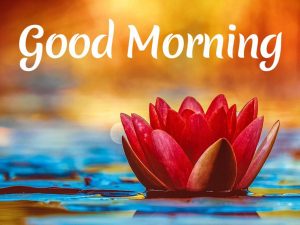 شعر و متن صبح بخیر به انگلیسی عاشقانه و رسمی