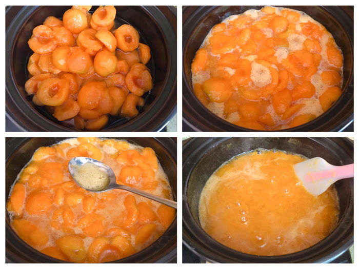 ترشک زردآلو