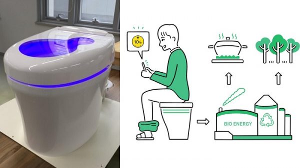 ارز دیجیتال با توالت