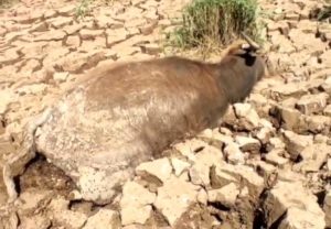 بحران خوزستان