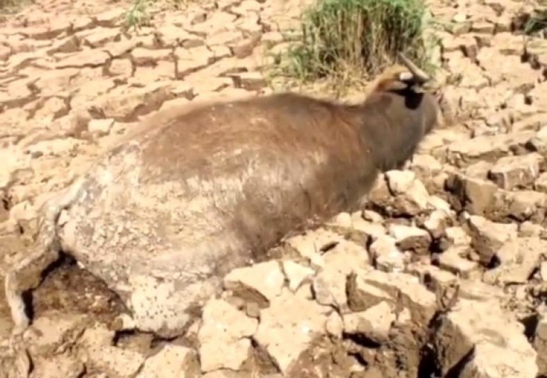 بحران خوزستان