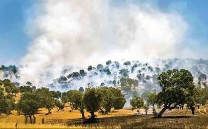 نابودی ۲۵ میلیون مترمکعب آب زیرزمینی در آتش زاگرس