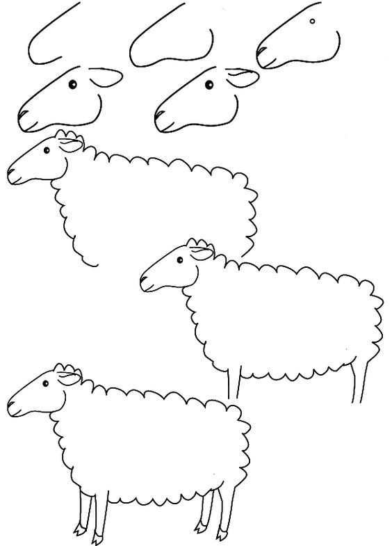 نقاشی ساده گوسفند کودکانه
