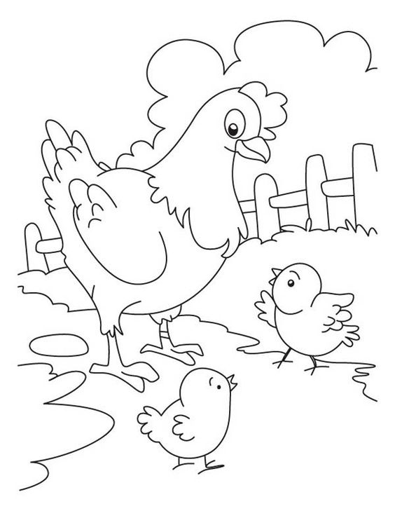 نقاشی مرغ و جوجه برای رنگ آمیزی