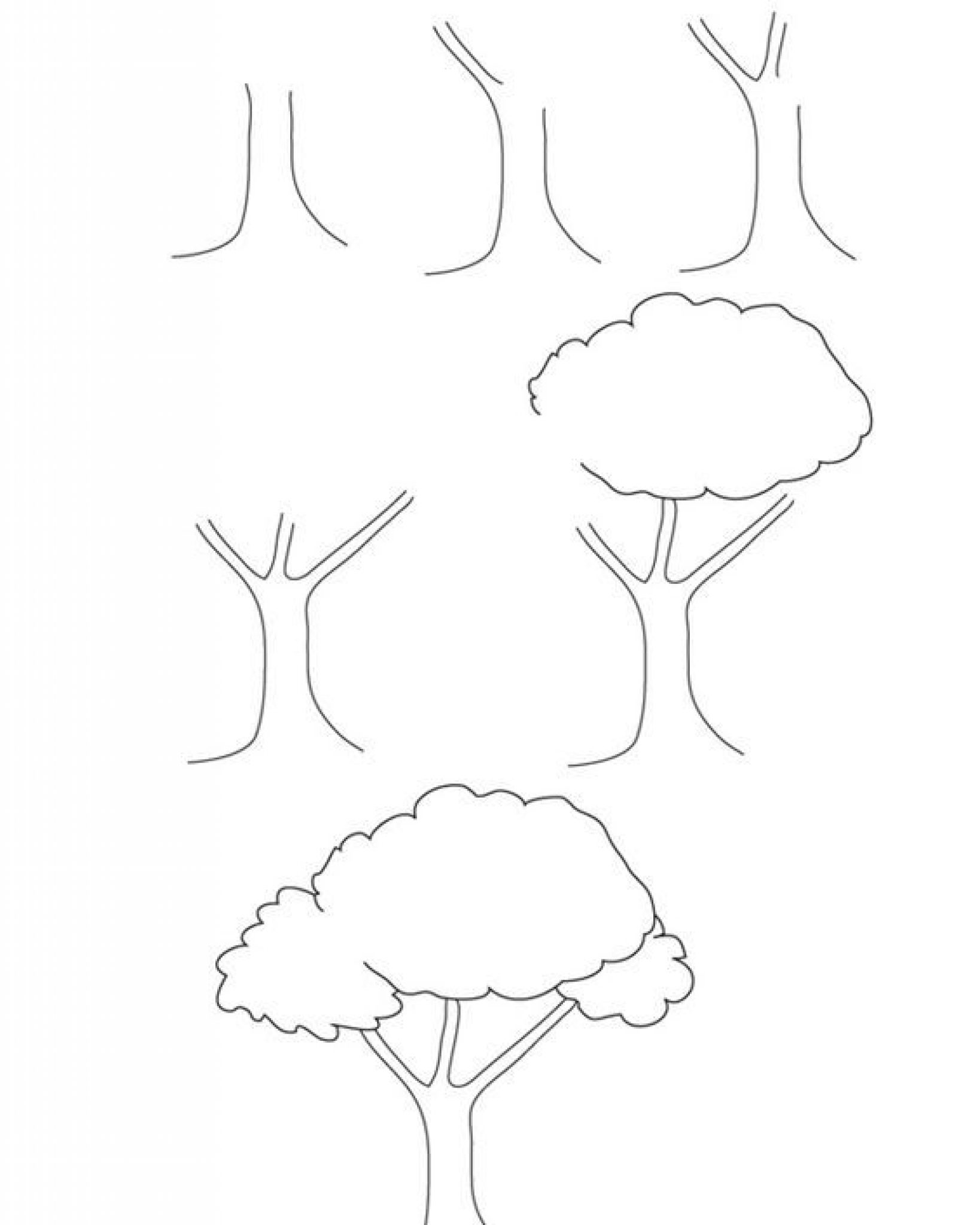 Как рисовать дерево. Поэтапное рисование дерева. Деревья карандашом для начинающих. Дерево для рисования. Поэтапное рисование дерева для детей.