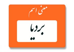 معنی اسم بردیا