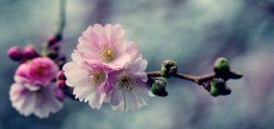 برنامه ریزی تعطیلات نوروزی