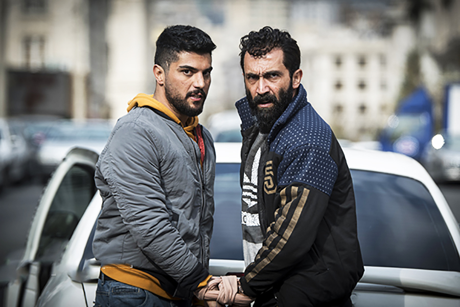 سینا مهراد در ژن خوک