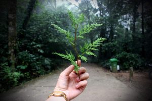 عکس پروفایل