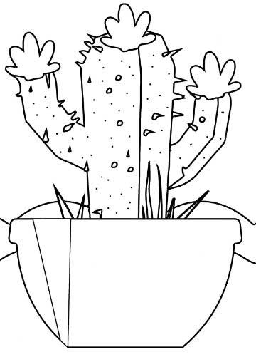 نقاشی کاکتوس در گلدان