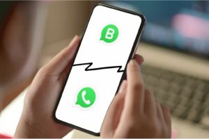 تفاوت واتساپ و واتساپ بیزینس