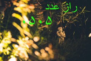 راز عدد 0505