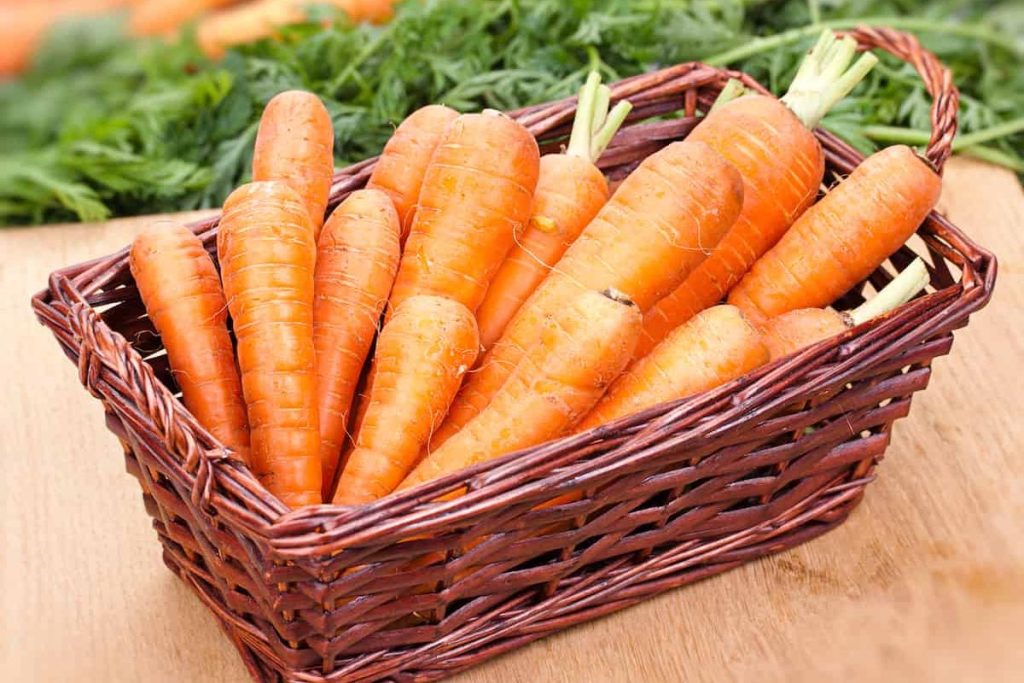 بهترین روش های نگهداری هویج برای مدت طولانی در خانه - ستاره