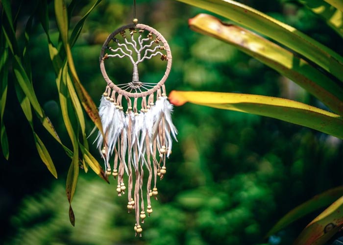 هر قسمت از یک نماد دریم کچر چه معنی دارد؟