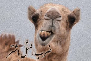 ضرب المثل با شتر