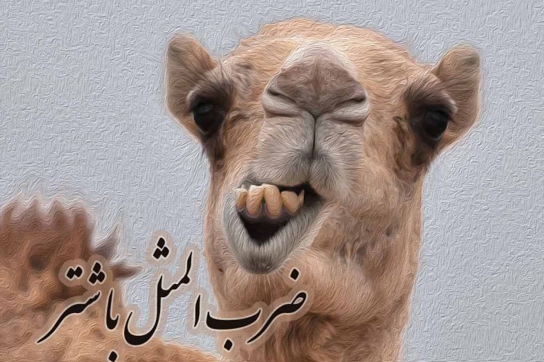 ضرب المثل با شتر
