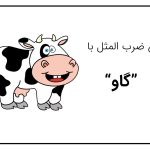 ضرب المثل با گاو