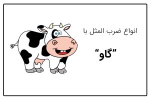 ضرب المثل با گاو