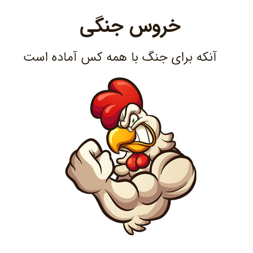 خروس جنگی
