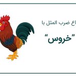 ضرب المثل با خروس