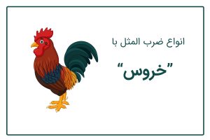 ضرب المثل با خروس