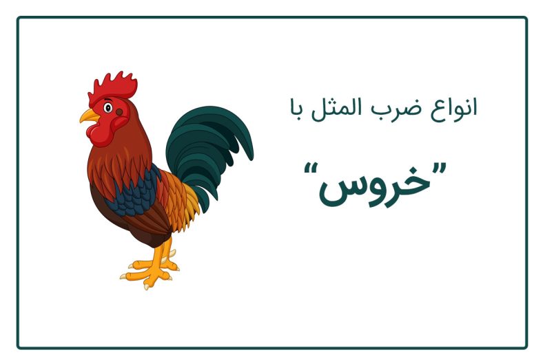 ضرب المثل با خروس