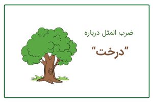 ضرب المثل درباره درخت