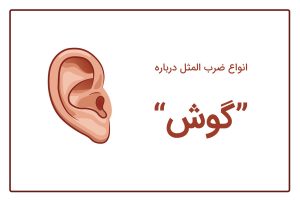 ضرب المثل با گوش