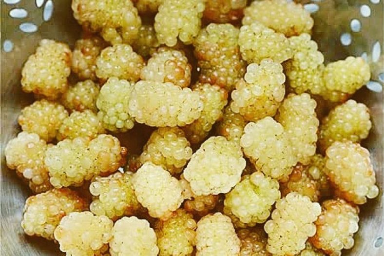 خشک کردن توت