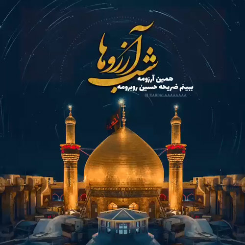 عکس کربلا در شب آرزوها