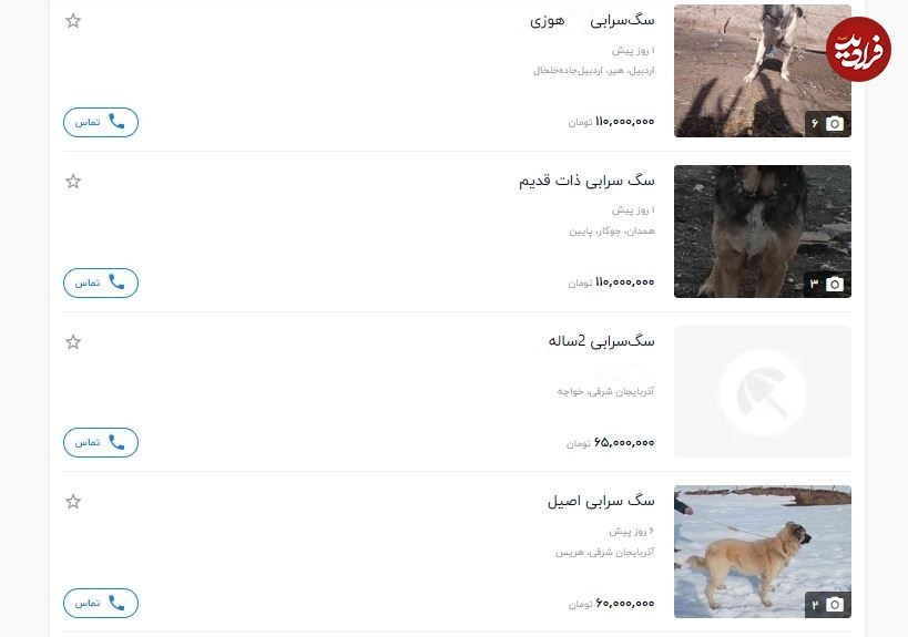 قیمت سگ سرابی