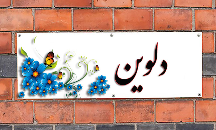 عکس نوشته دلوین