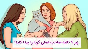 صاحب گربه کیست