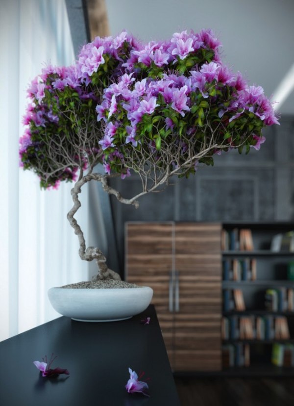 طراحی اتاق با بونسای زیبا